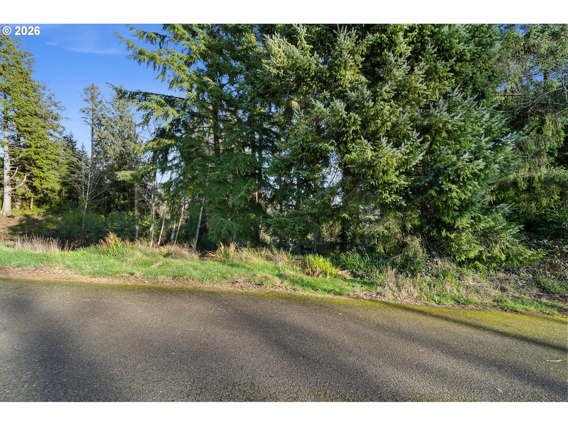1102 12th Street Bay City, OR 97107 - Photo 12 of 13 a view of outdoor space and yard