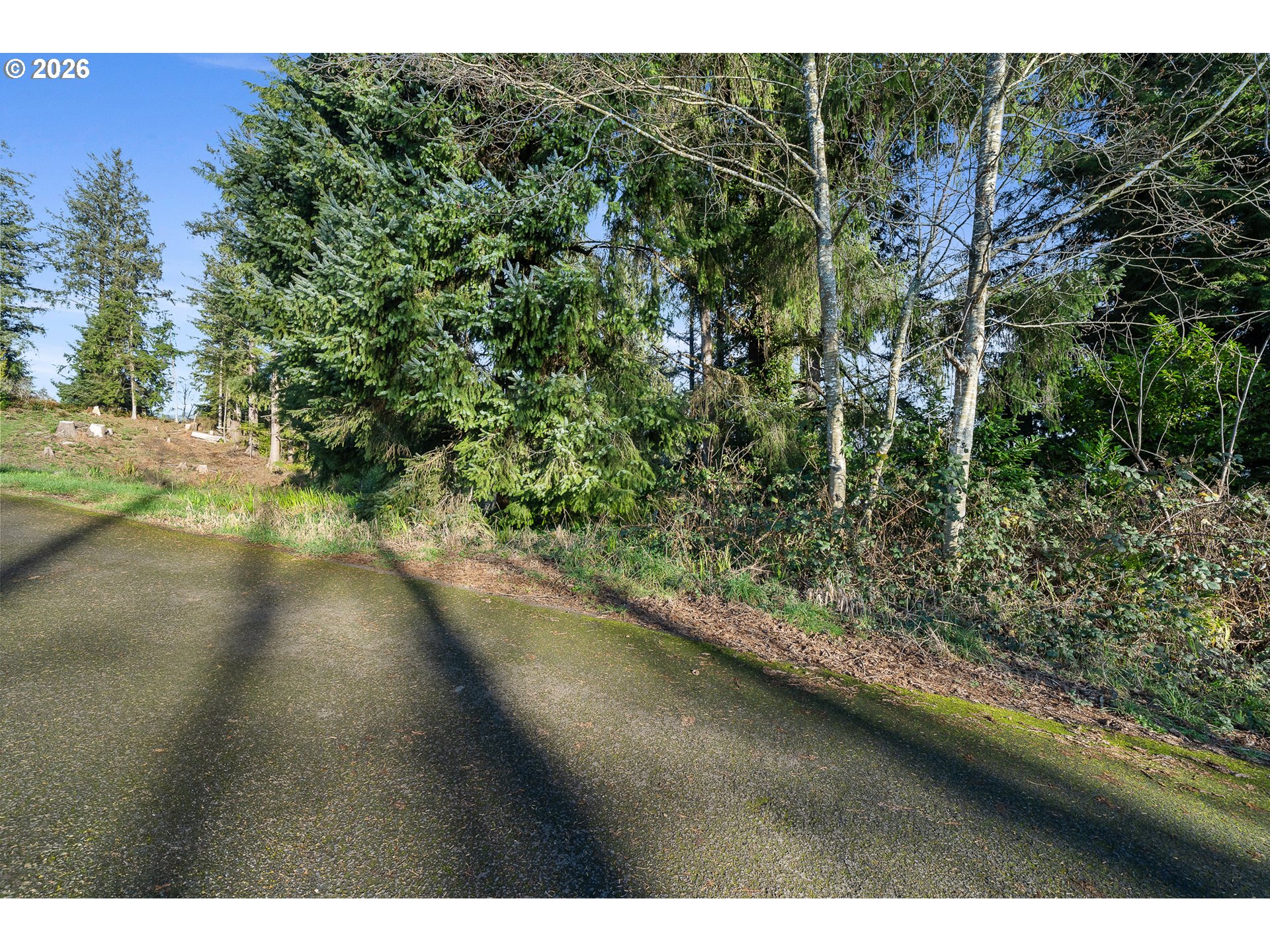 1102 12th Street Bay City, OR 97107 - Photo 13 of 13 a view of a yard with a tree