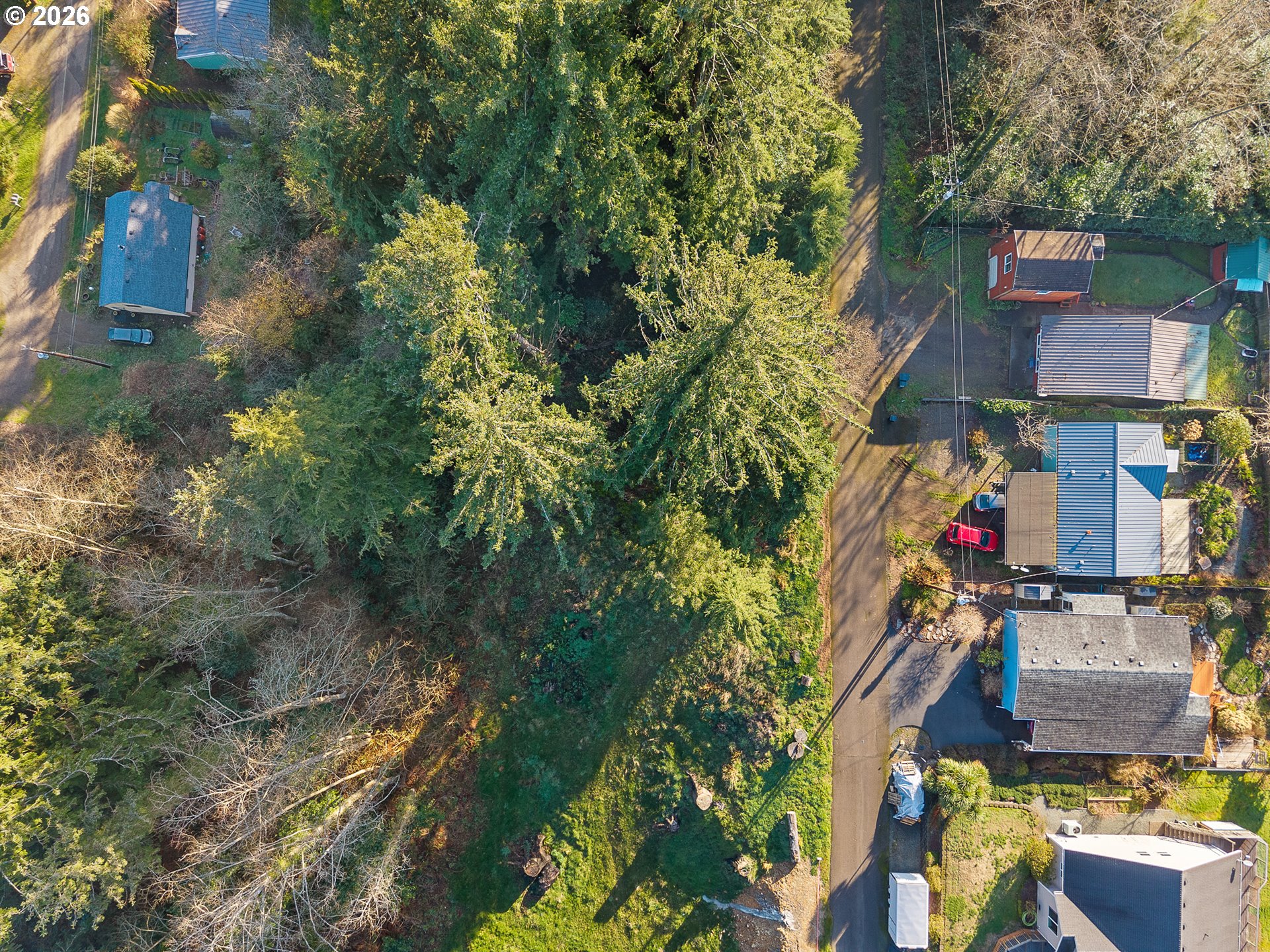 1102 12th Street Bay City, OR 97107 - Photo 6 of 13 an aerial view of residential houses and trees