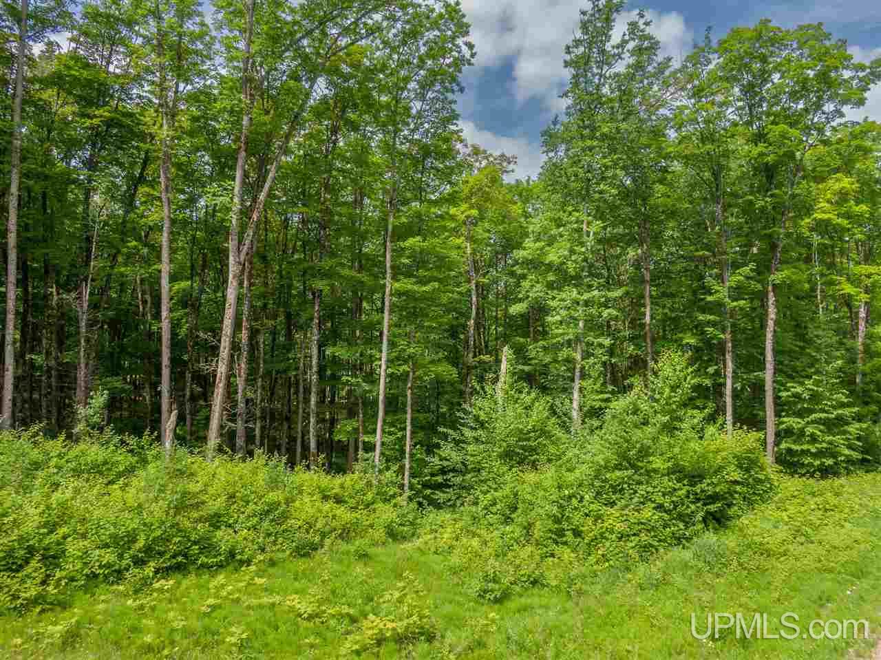 Lot 27 Red Maple Landing Marenisco, MI 49947 - Photo 4 of 9