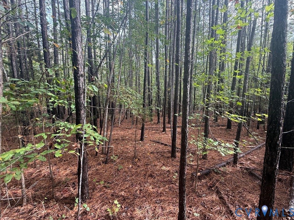 13.52 West Point Stevens Road Drakes Branch, VA 23937 - Photo 5 of 9 Gallery Image 5