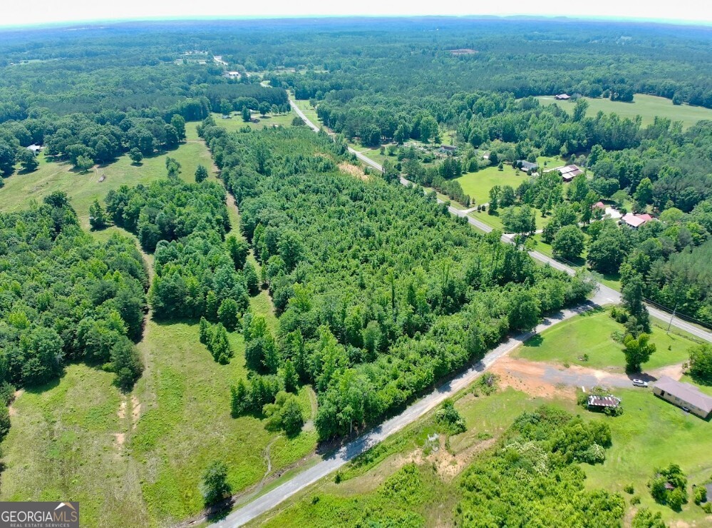 0 Prospect Road Nauvoo, AL 35578 - Photo 13 of 19