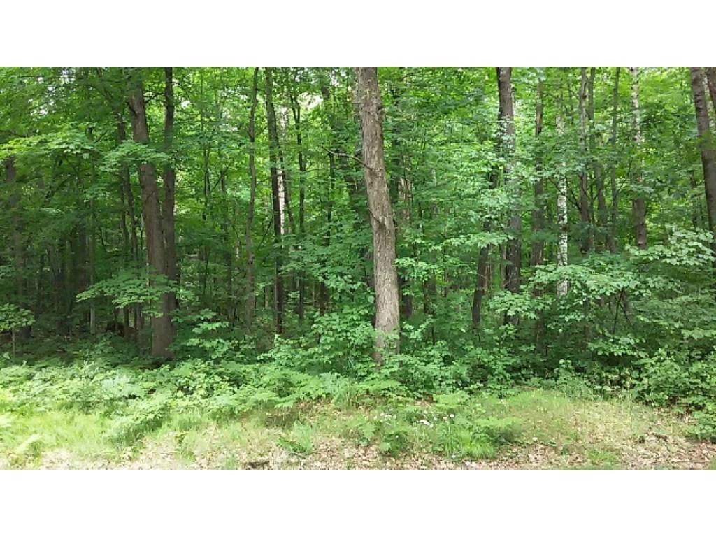 Lot 32 Winters Point Road Hayward, WI 54843 - Photo 1 of 1 Gallery Image 1