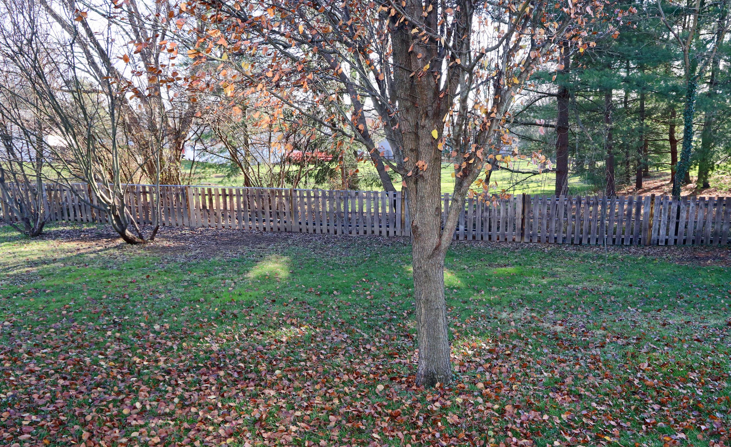6741 Refugee Road Pickerington, OH 43147 - Photo 58 of 58 Gallery Image 58