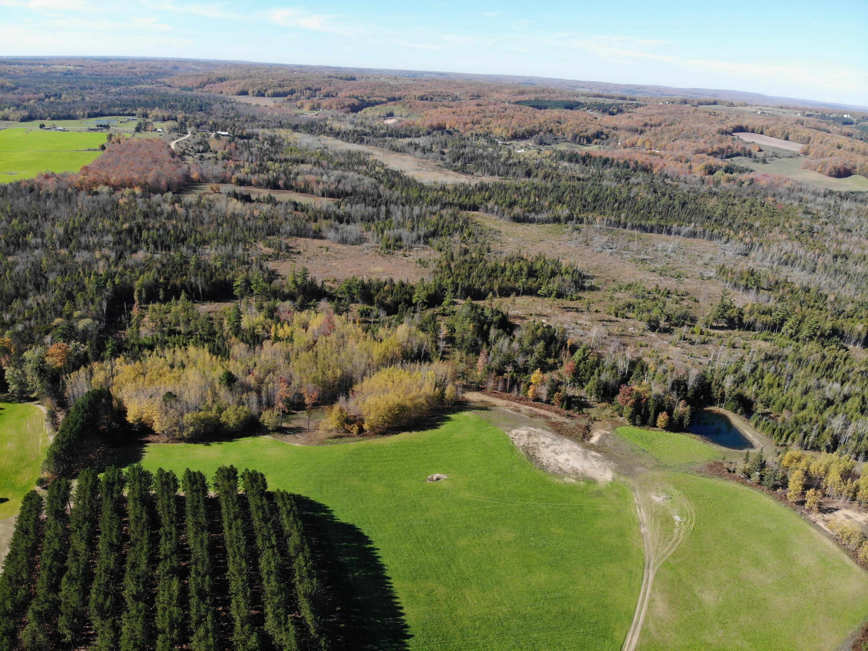 267 Dover Road Gaylord, MI 49735 - Photo 1 of 55 DJI_0883