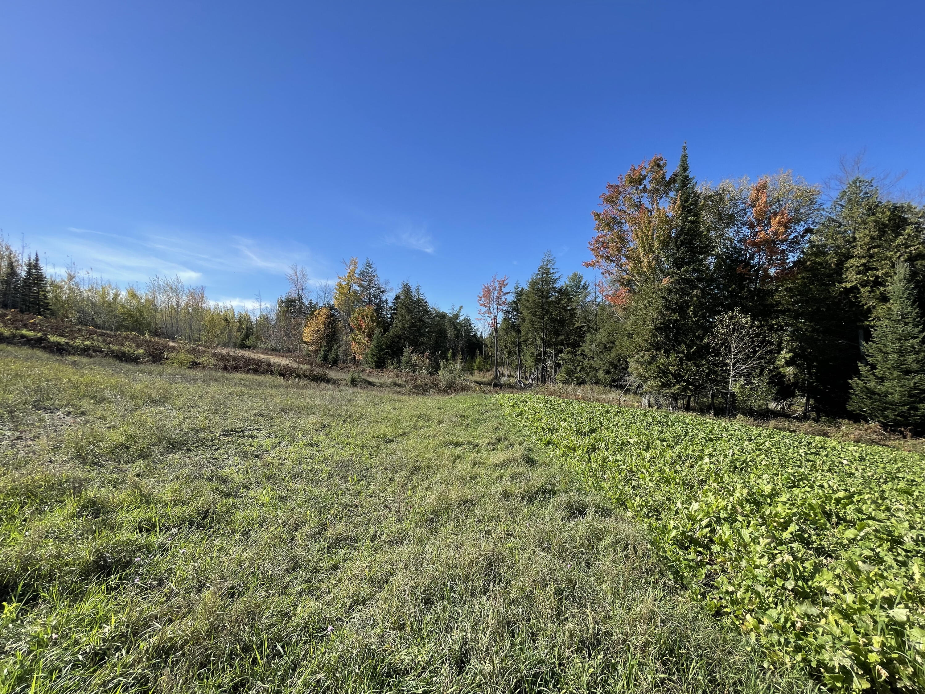 267 Dover Road Gaylord, MI 49735 - Photo 13 of 55 IMG_4116