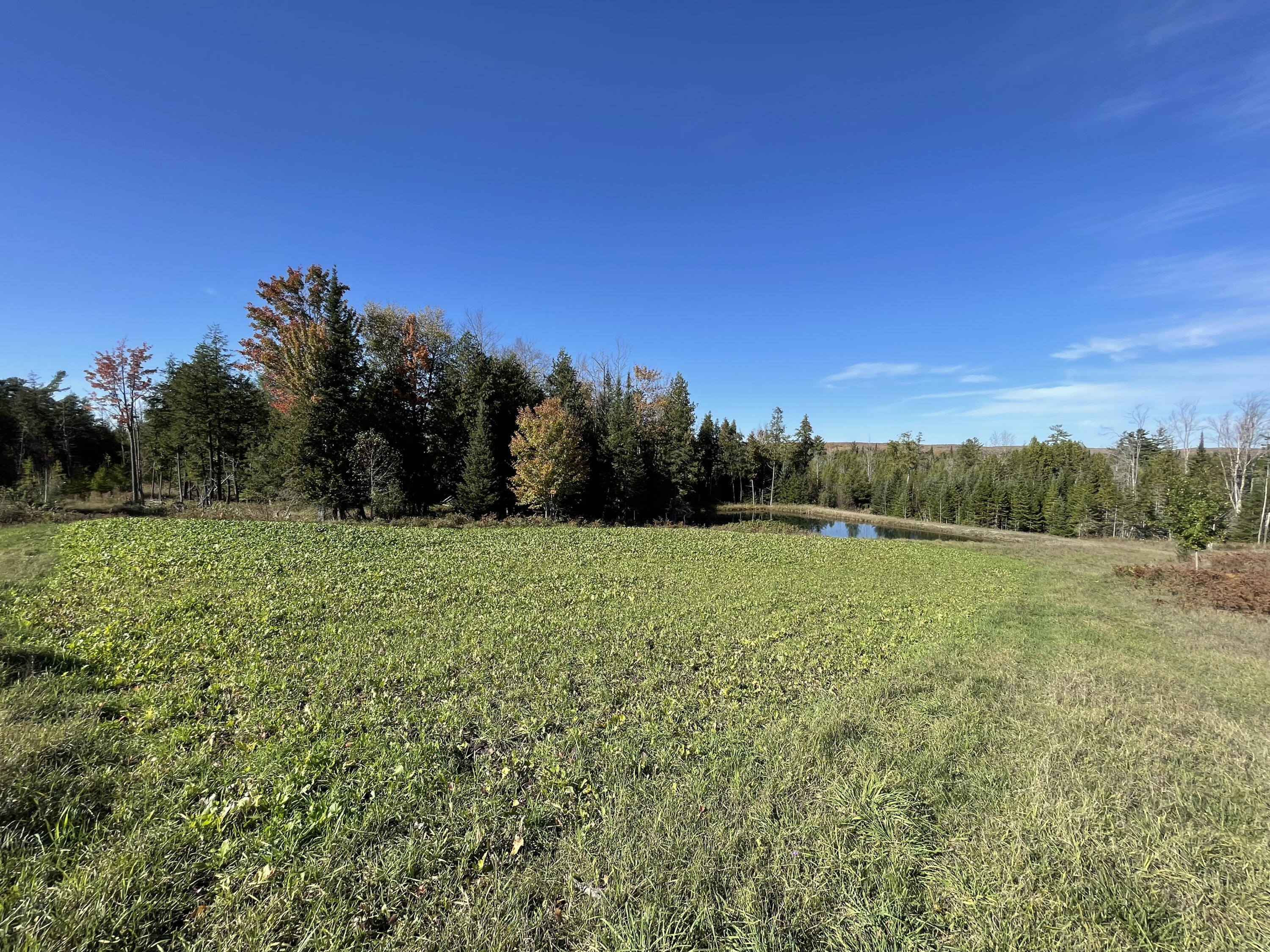267 Dover Road Gaylord, MI 49735 - Photo 14 of 55 IMG_4117