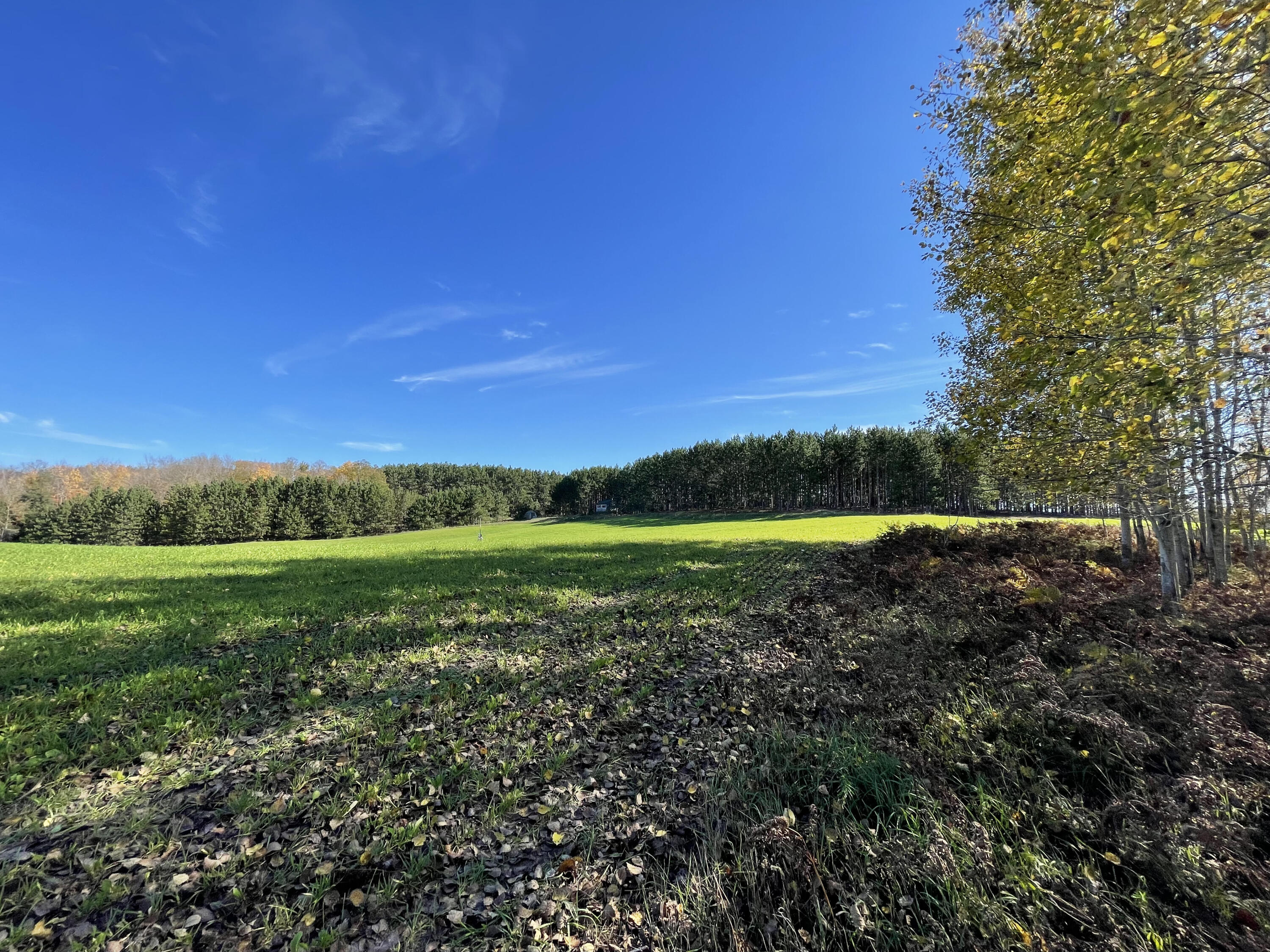 267 Dover Road Gaylord, MI 49735 - Photo 29 of 55 IMG_4141