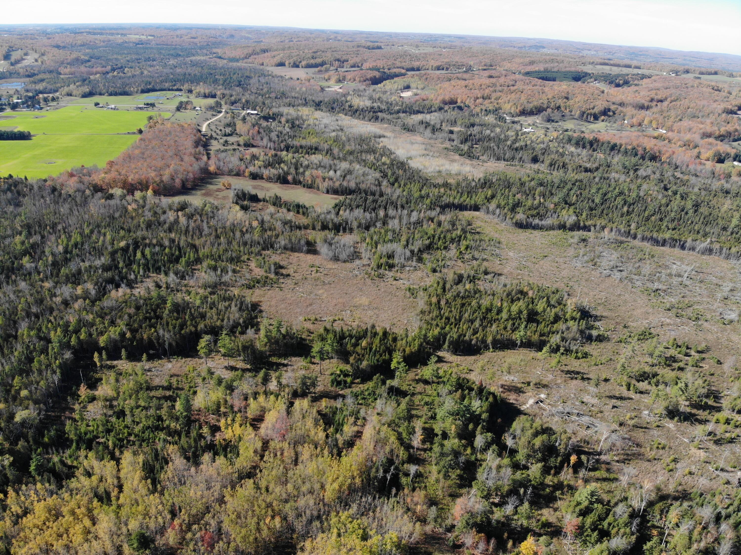 267 Dover Road Gaylord, MI 49735 - Photo 36 of 55 DJI_0890