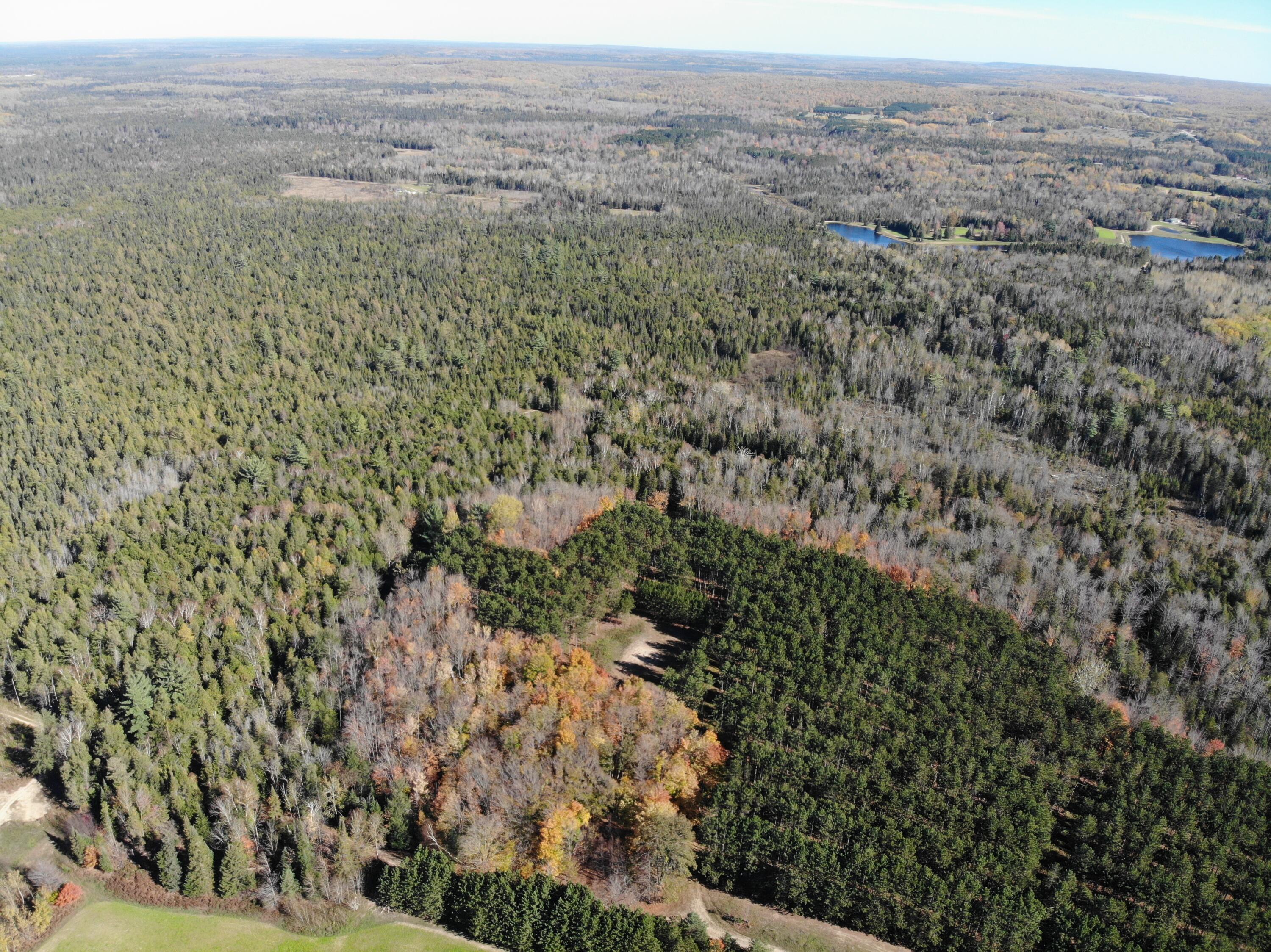 267 Dover Road Gaylord, MI 49735 - Photo 37 of 55 DJI_0892