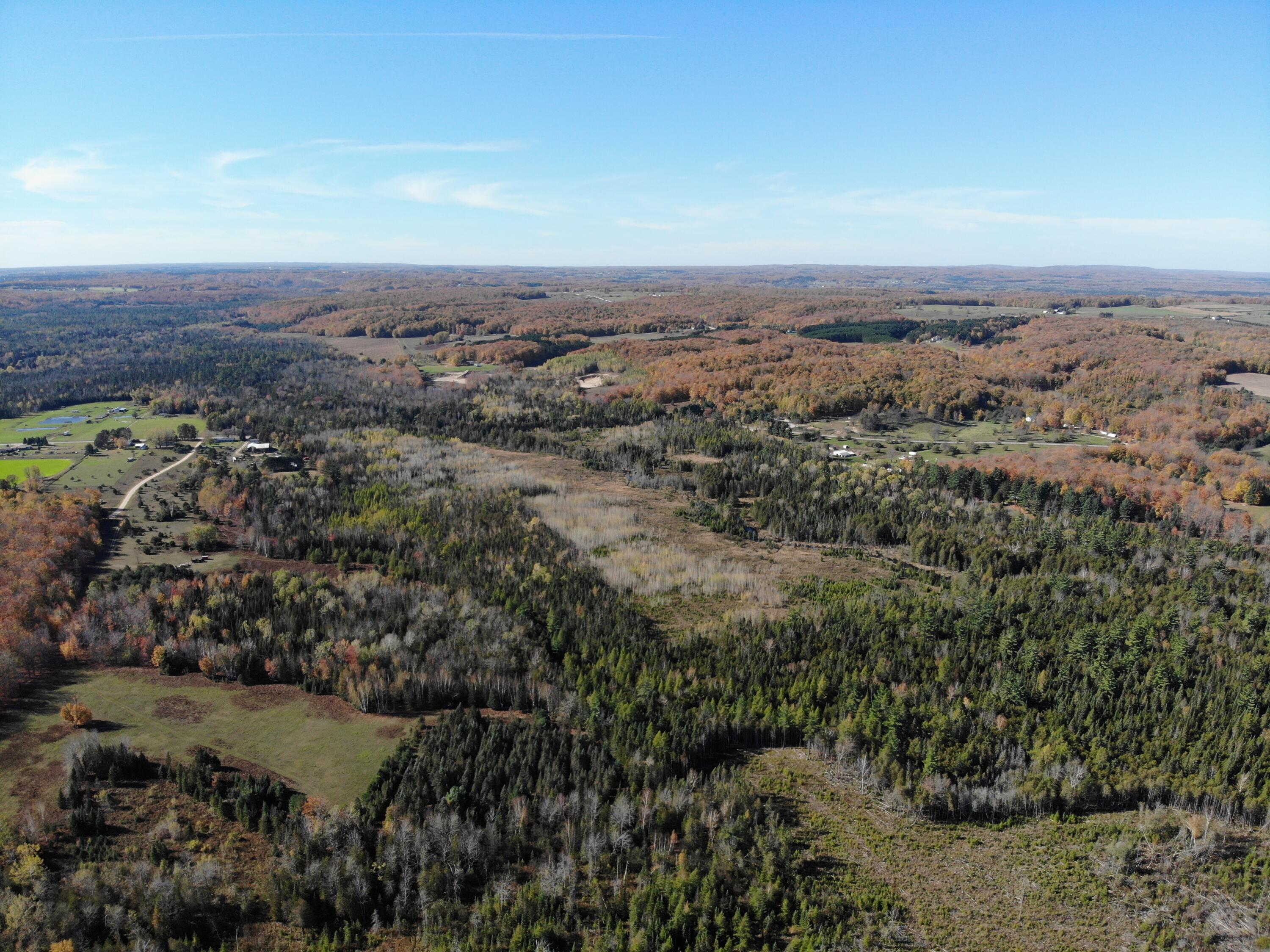 267 Dover Road Gaylord, MI 49735 - Photo 39 of 55 DJI_0901