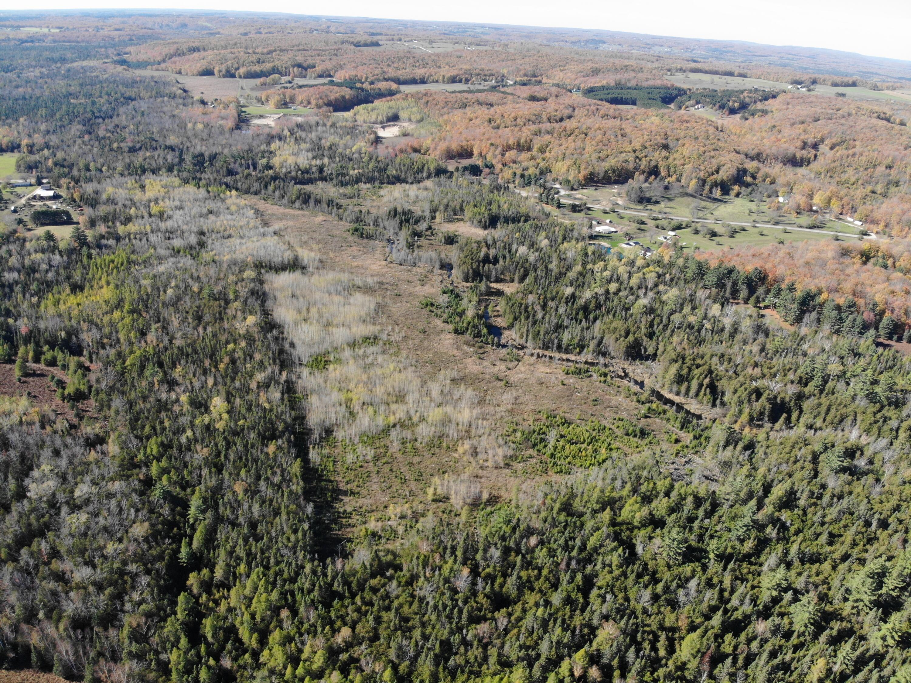 267 Dover Road Gaylord, MI 49735 - Photo 40 of 55 DJI_0903