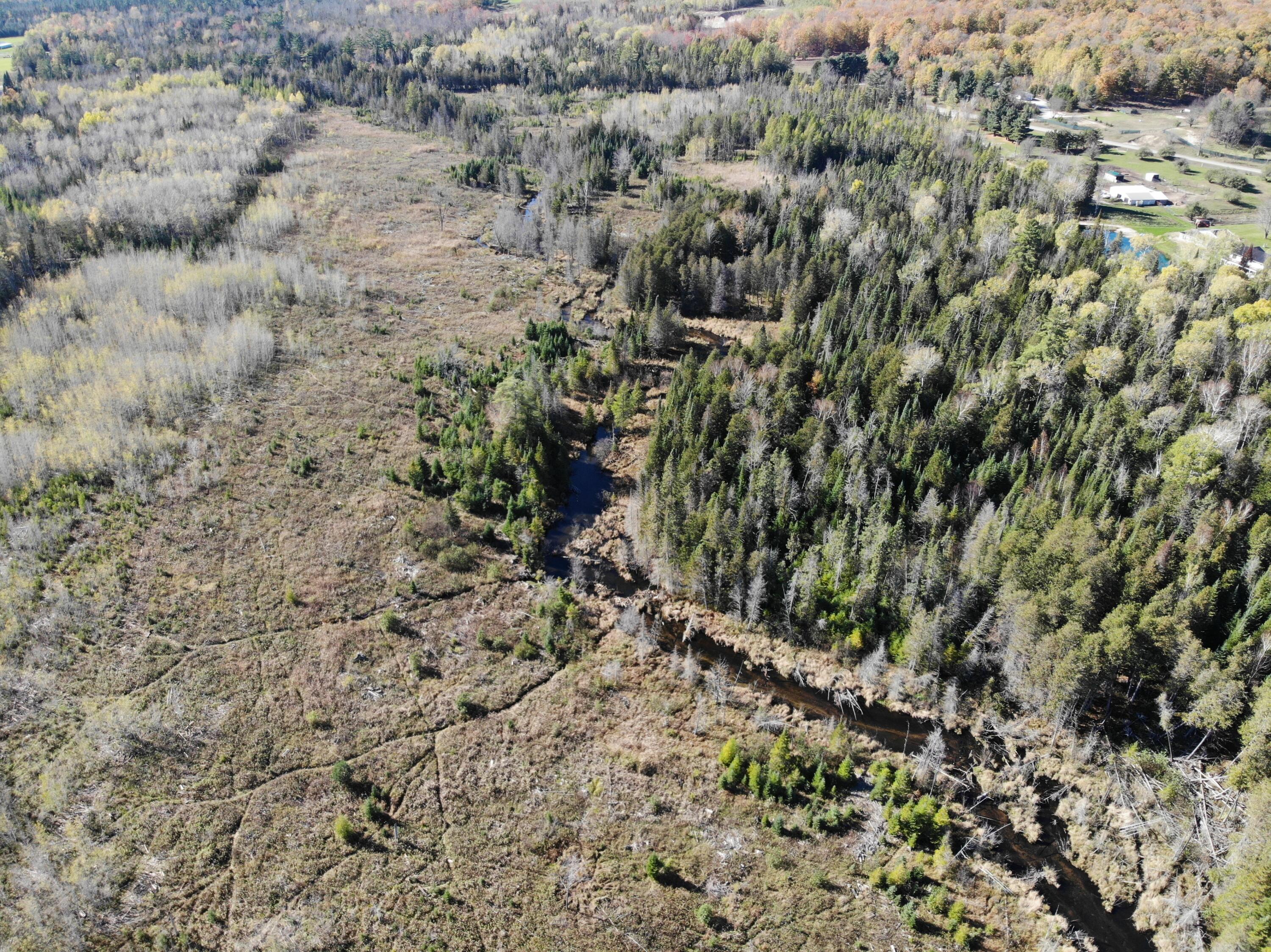 267 Dover Road Gaylord, MI 49735 - Photo 46 of 55 DJI_0924