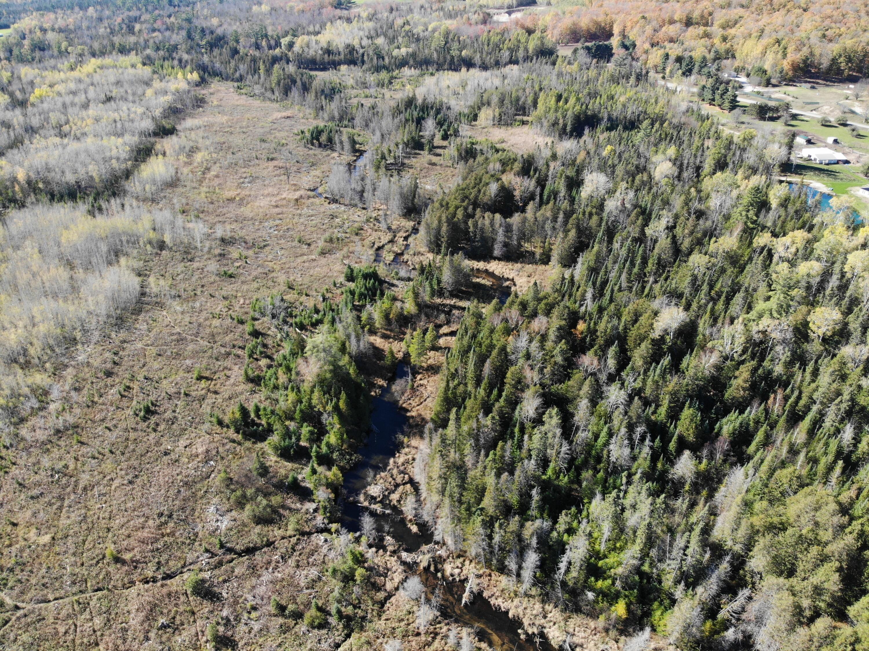 267 Dover Road Gaylord, MI 49735 - Photo 47 of 55 DJI_0926