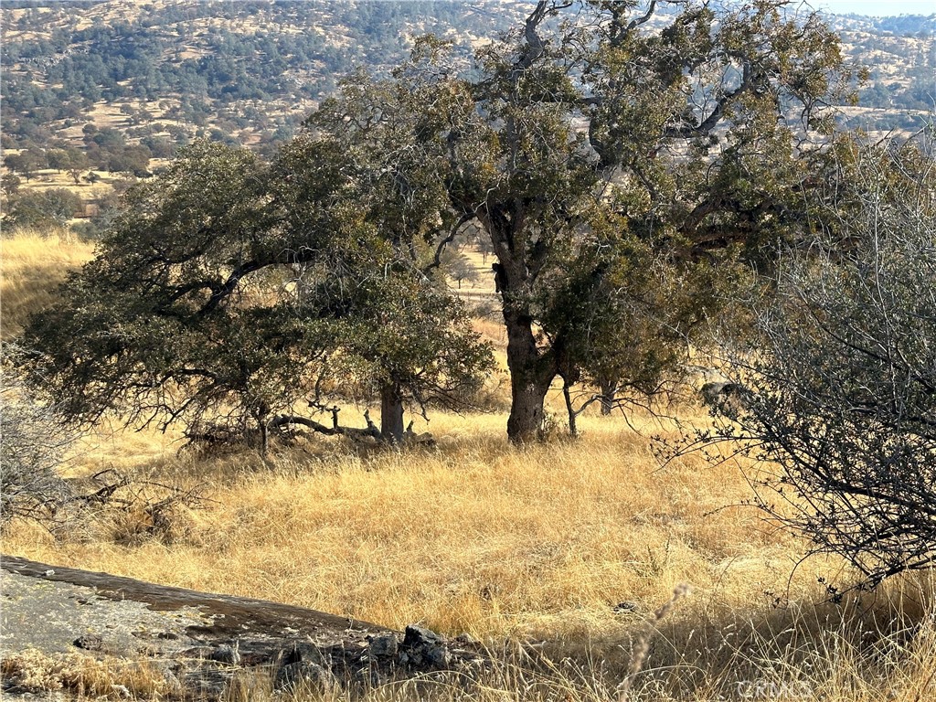 0 Spinecup Ridge Raymond, CA 93653 - Photo 14 of 25