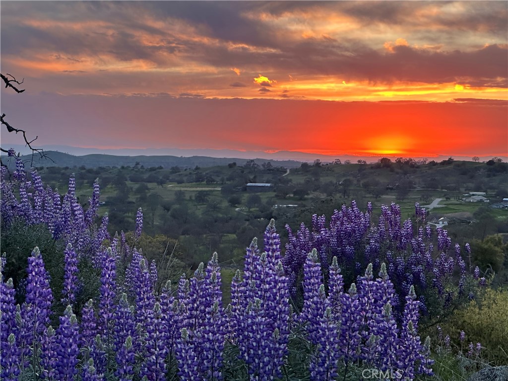 0 Spinecup Ridge Raymond, CA 93653 - Photo 2 of 25
