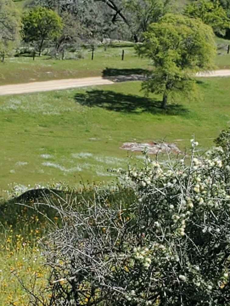 0 Spinecup Ridge Raymond, CA 93653 - Photo 7 of 25