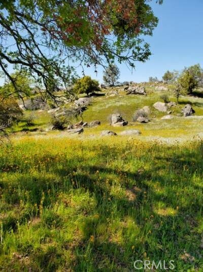 0 Spinecup Ridge Raymond, CA 93653 - Photo 9 of 25