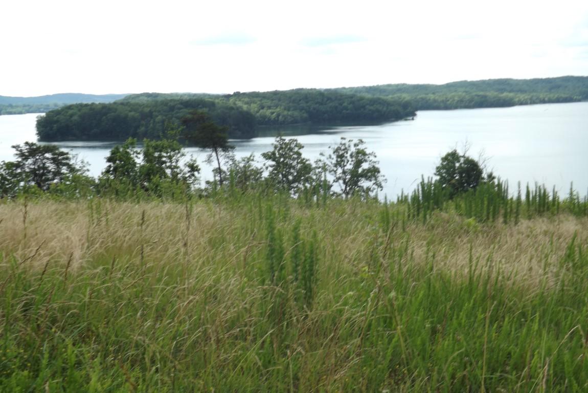 Lot 48 River Run Trail Spring, Unit 48 Spring City, TN 37381 - Photo 2 of 10 2