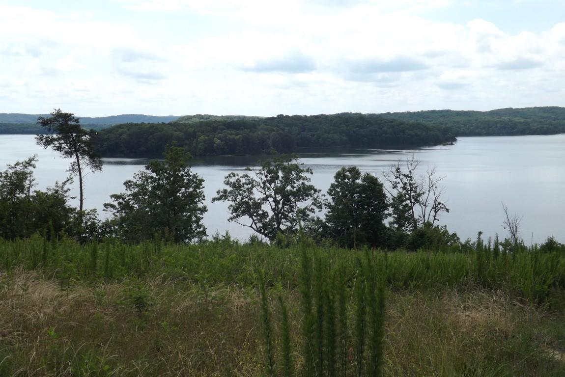 Lot 48 River Run Trail Spring, Unit 48 Spring City, TN 37381 - Photo 3 of 10 3