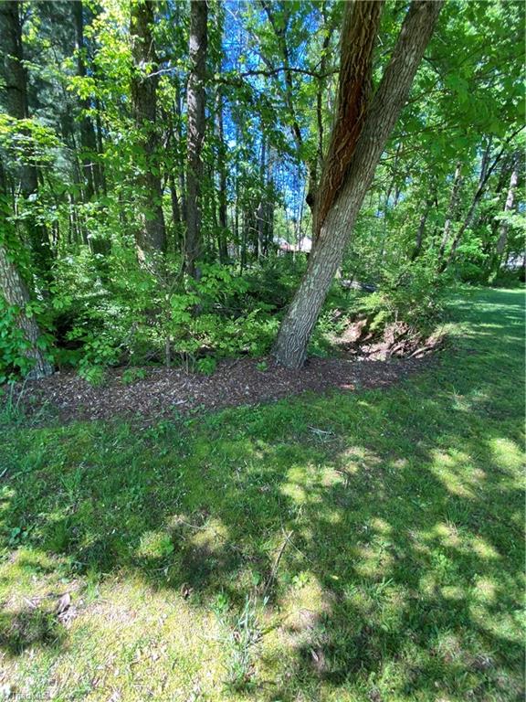 103 Brown Road King, NC 27021 - Photo 3 of 30