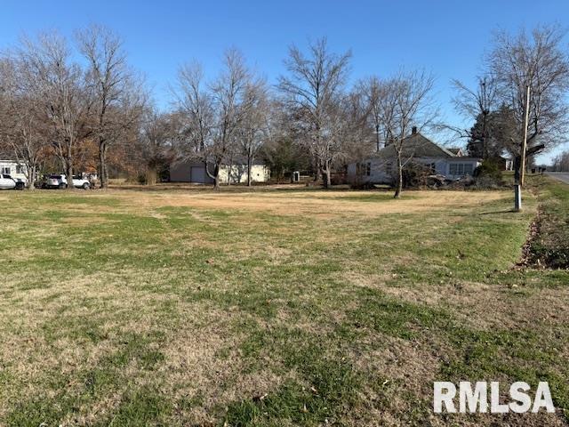 1112 McHaney Road Harrisburg, IL 62946 - Photo 27 of 27 a view of yard with trees