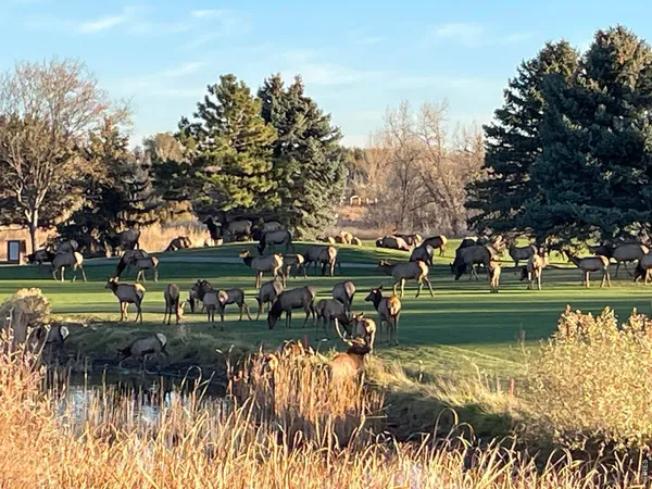 $899,000 | 4339 Golf Vista Drive, Loveland, CO 80537
