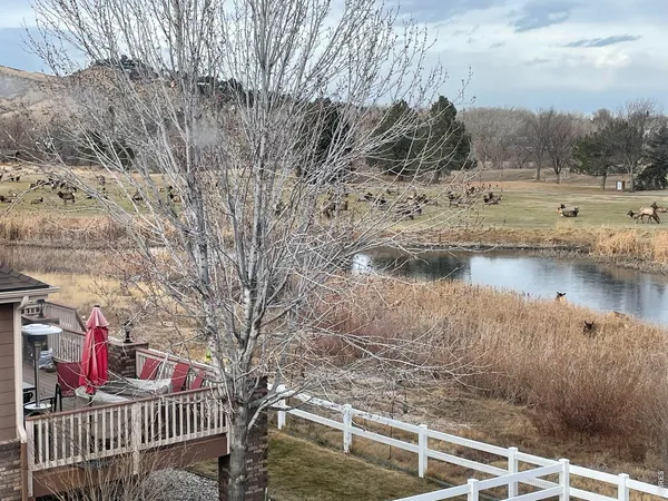 $899,000 | 4339 Golf Vista Drive, Loveland, CO 80537