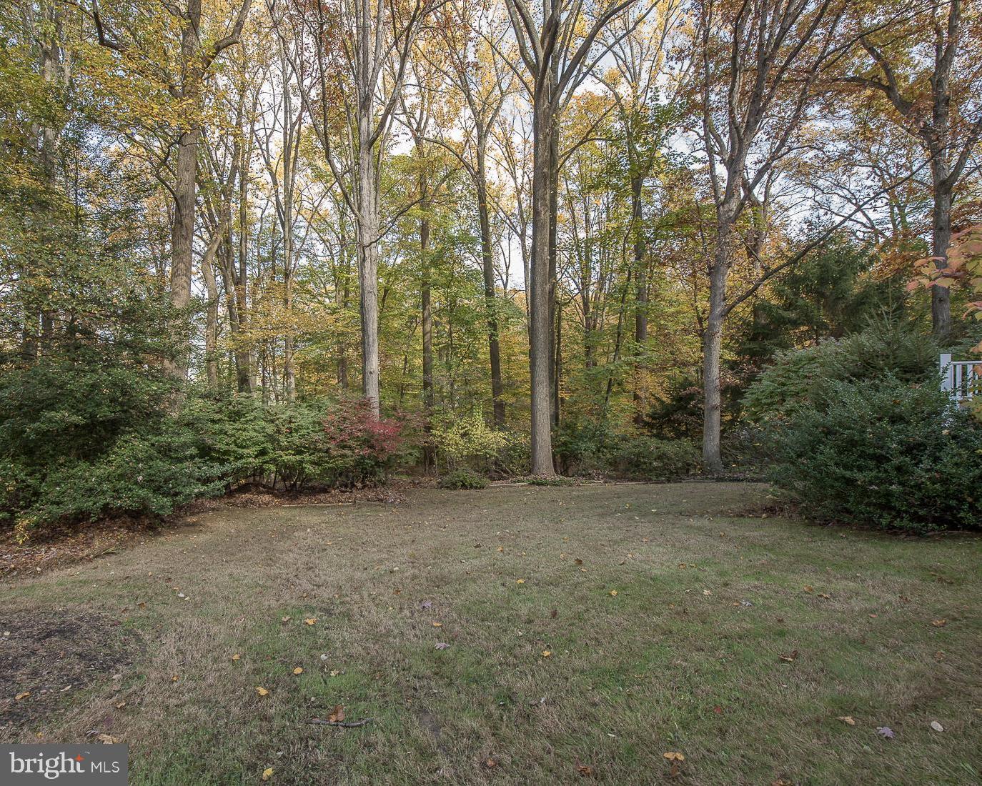 75 Pugh Road Wayne, PA 19087 - Photo 20 of 26 Rear yard