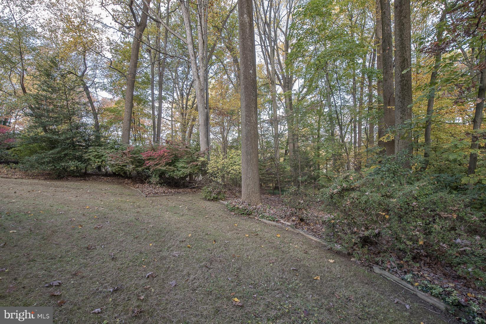 75 Pugh Road Wayne, PA 19087 - Photo 22 of 26 Tree lined rear yard