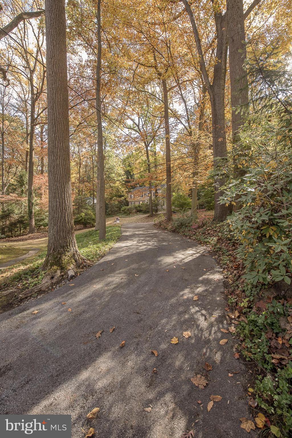 75 Pugh Road Wayne, PA 19087 - Photo 26 of 26 Driveway
