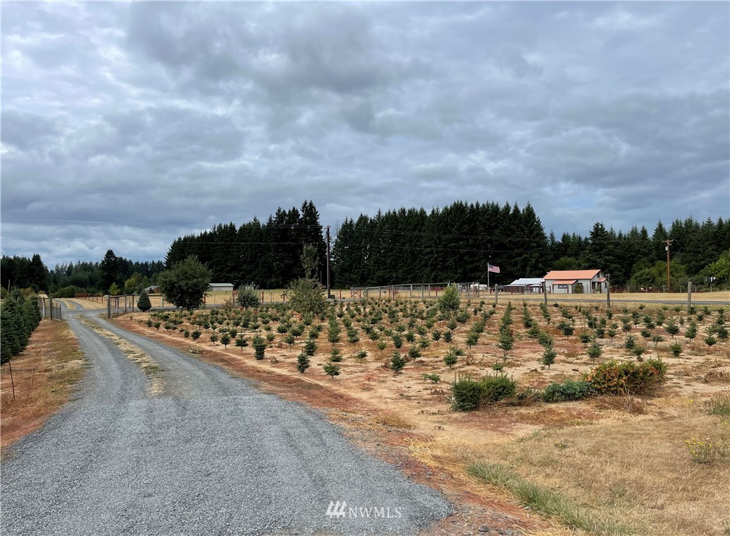 193 Schoolhouse Road Winlock, WA 98596 - Photo 4 of 27