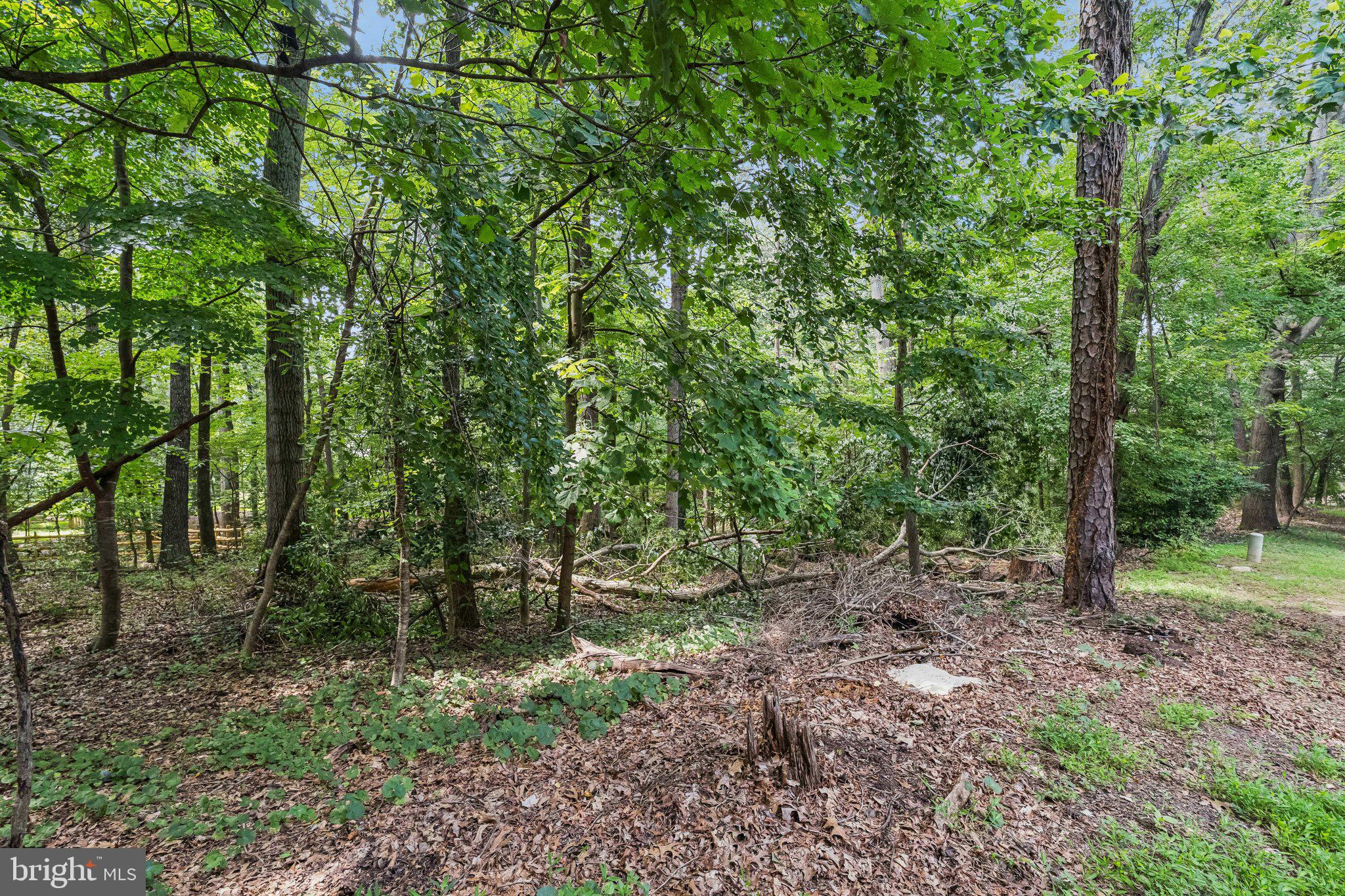 2408 Wanda Way Reston, VA 20191 - Photo 30 of 45 a view of outdoor space and green space