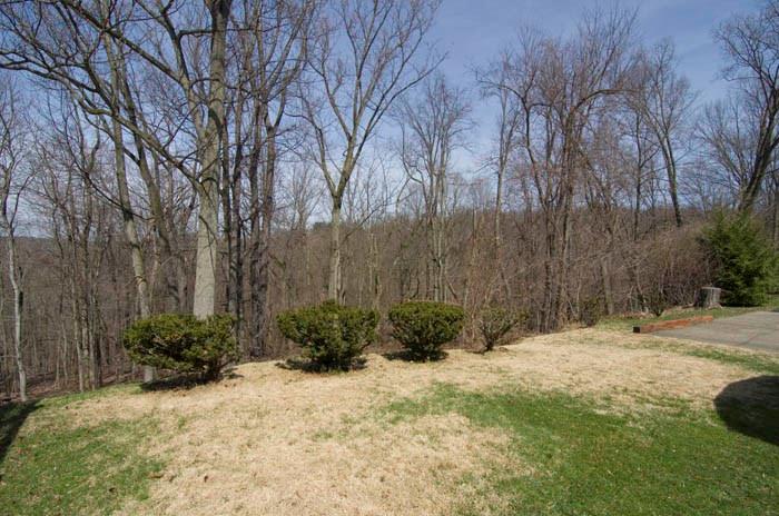 5006 Glenhurst Road Pittsburgh, PA 15207 - Photo 2 of 20 TREED LINED BACKYARD VIEW