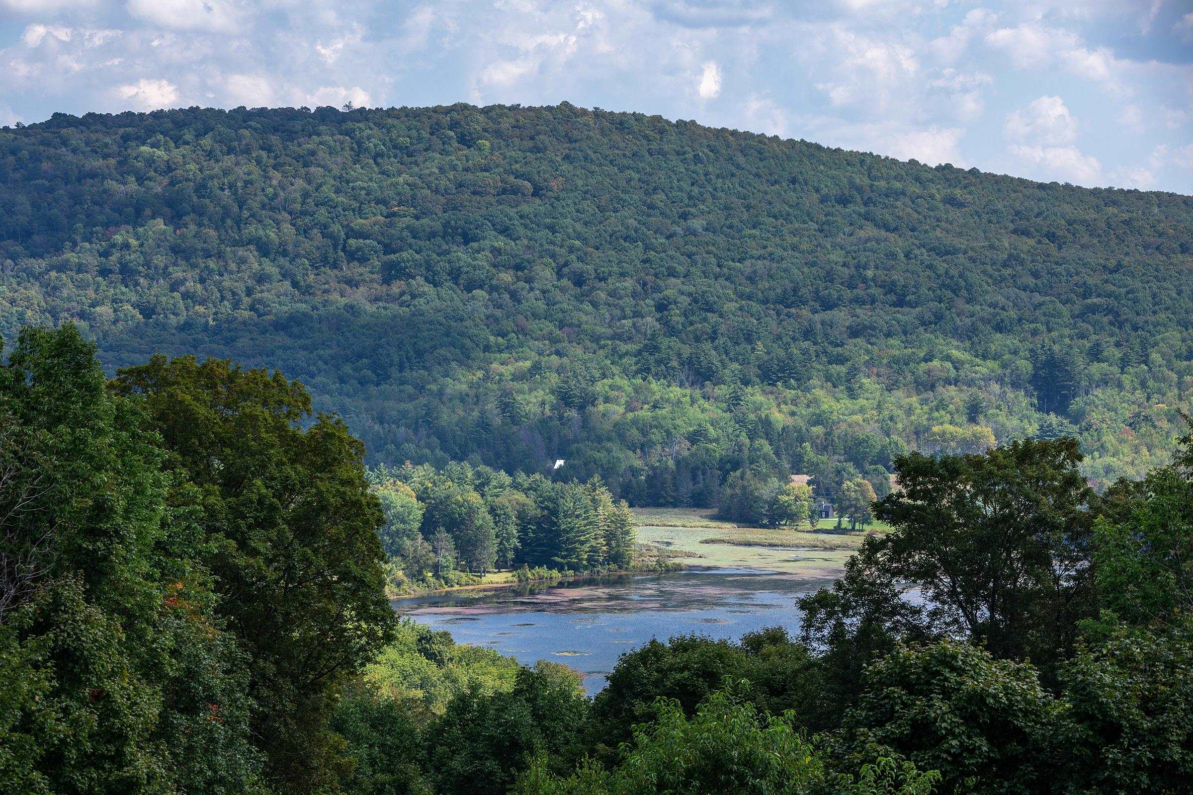 480 Dutch Hill Road Danby, VT 05739 - Photo 13 of 40 Gallery Image 13
