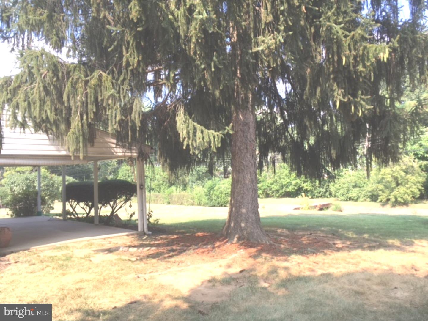 1606 Mulberry Road Flourtown, PA 19031 - Photo 20 of 21 Patio