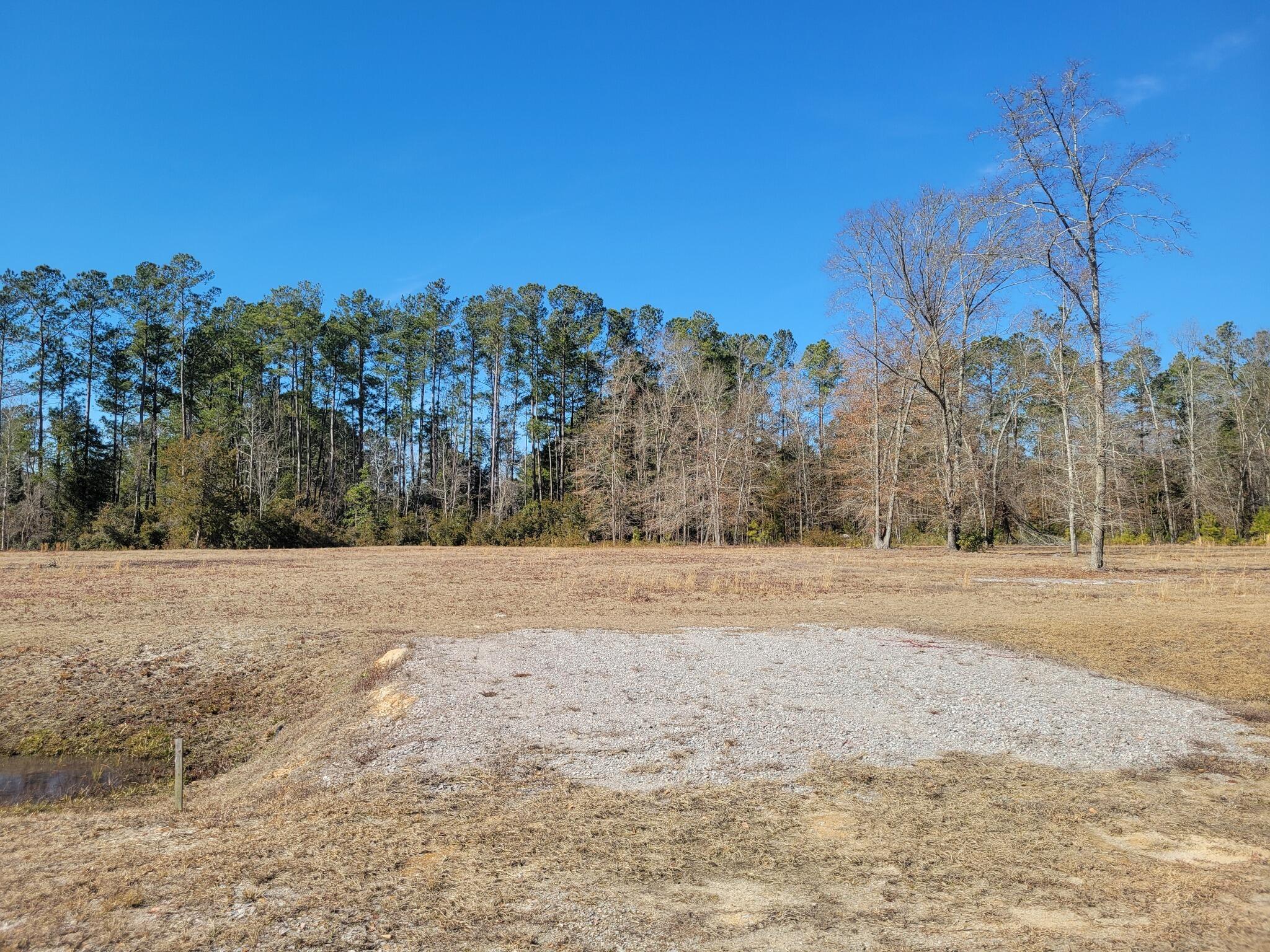 0 Academy Road Walterboro, SC 29488 - Photo 4 of 4 Gates3