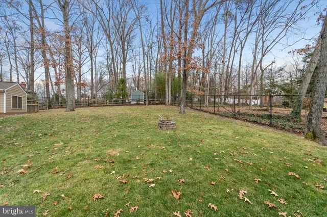 a view of a field with some trees