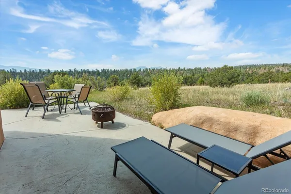 a view of a city with lush green forest