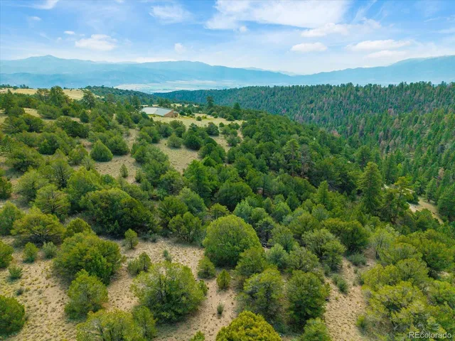 a view of a lush green field with a mountain in the background
