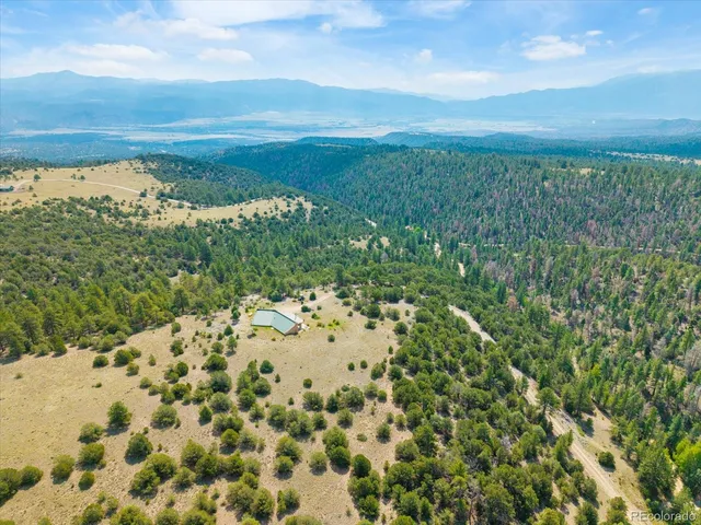 a view of a city with lush green forest