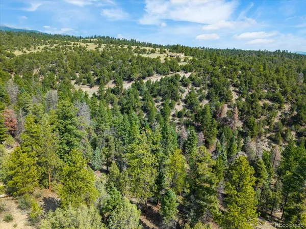 $778,400 | 13000 County Road 251, Salida, CO 81201