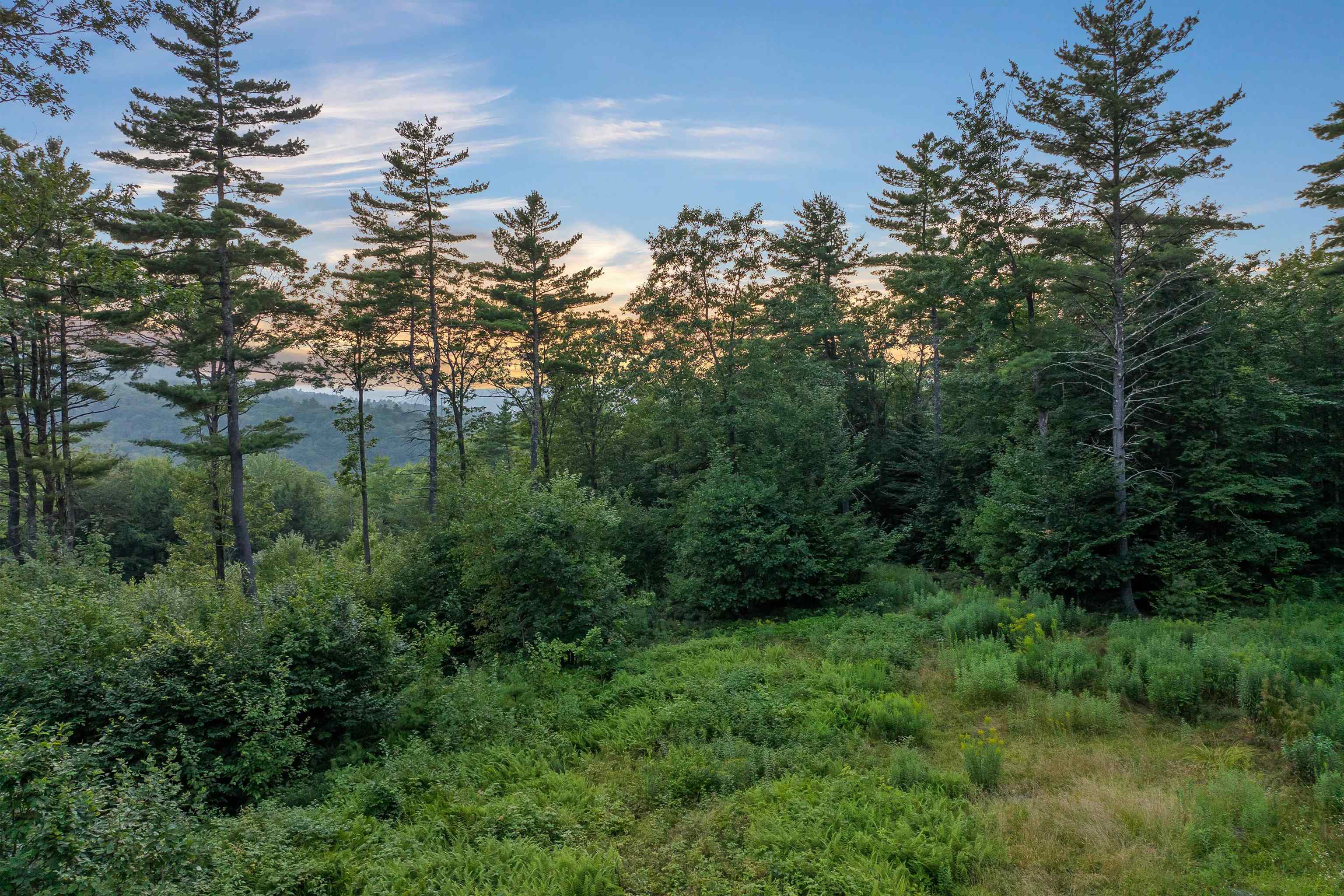 0 Pinnacle Ridge Road Sanbornton, NH 03269 - Photo 4 of 19 Gallery Image 4