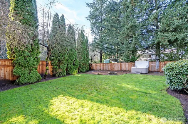 a view of a backyard with a trees