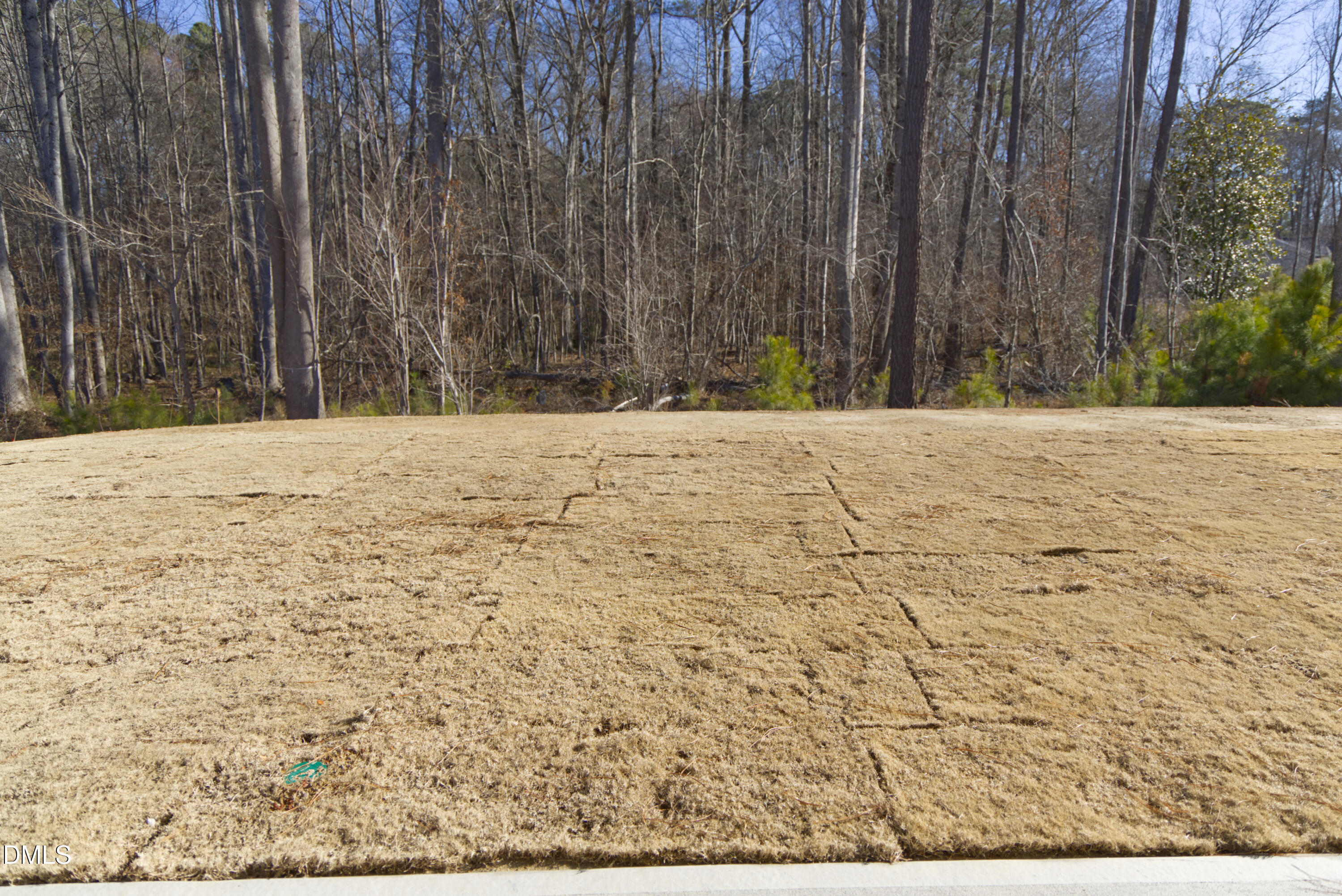 939 Embraer Way Spring Hope, NC 27882 - Photo 47 of 49 Back Yard