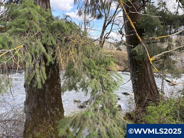 0 Northwest Old Railroad Grade Road Yamhill, OR 97148 - Photo 5 of 10