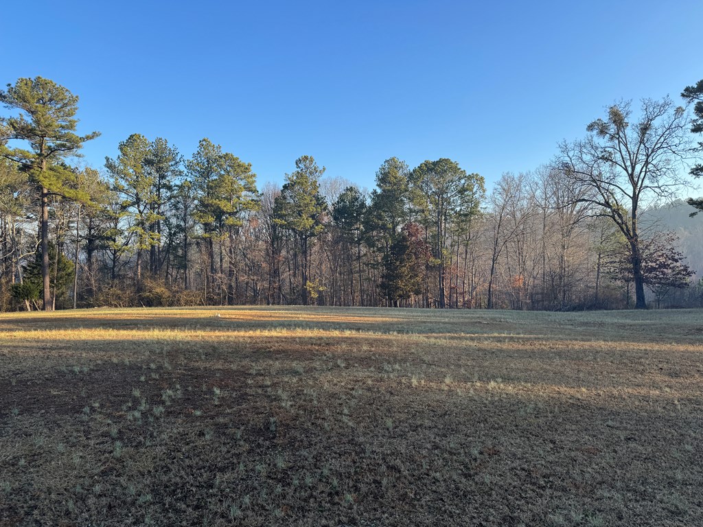 386 Miller Mountain Road Lindale, GA 30147 - Photo 2 of 3
