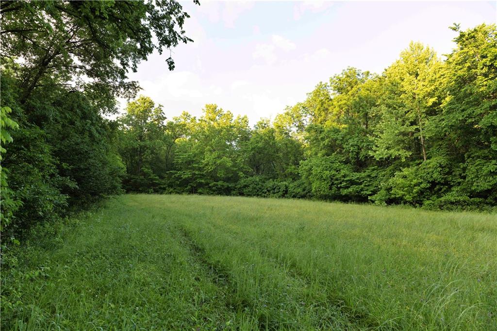 Wilderness Camp Road Lawson, MO 64062 - Photo 19 of 90