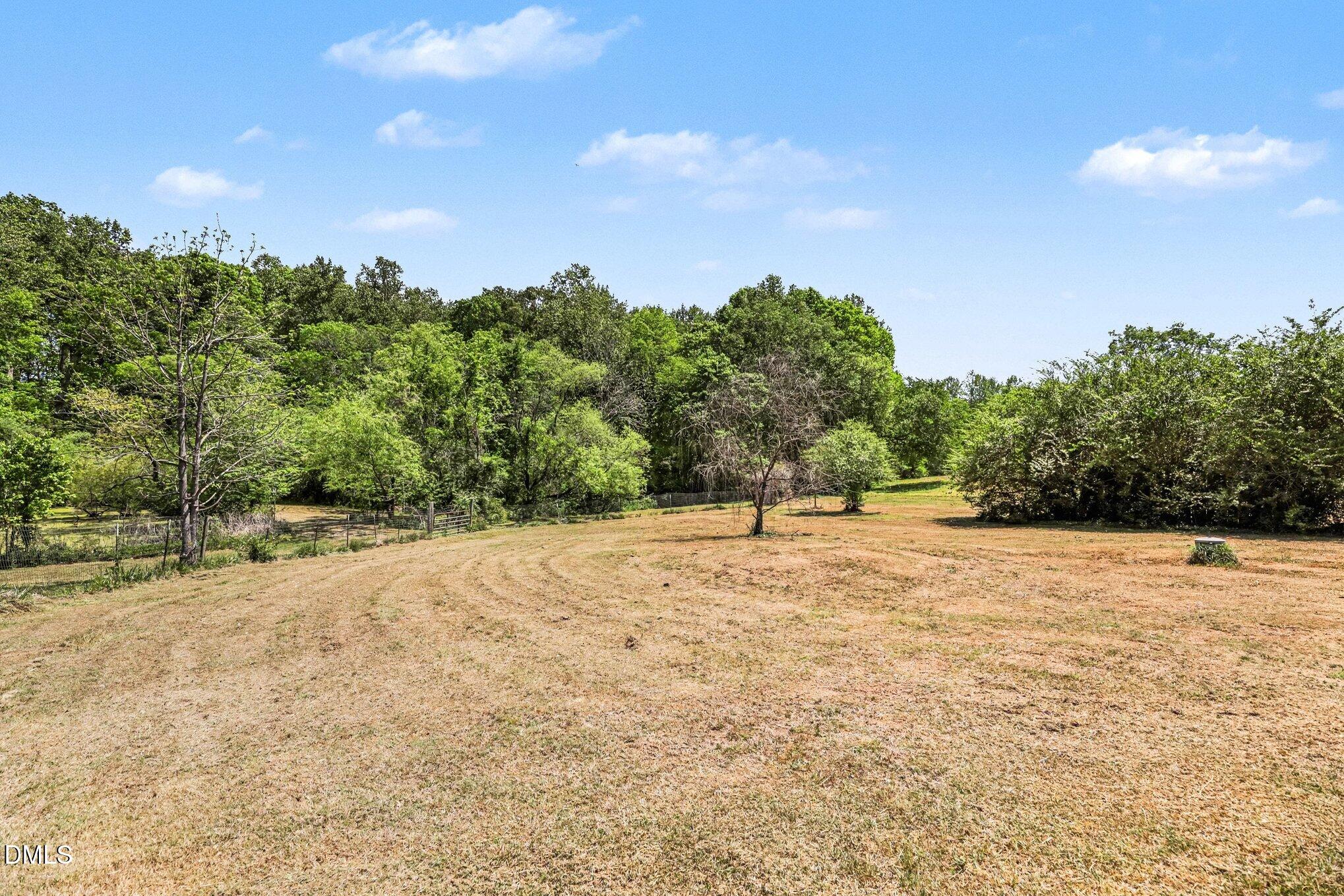 4583 Lambeth Mill Road Bennett, NC 27208 - Photo 33 of 50 035_file_1909