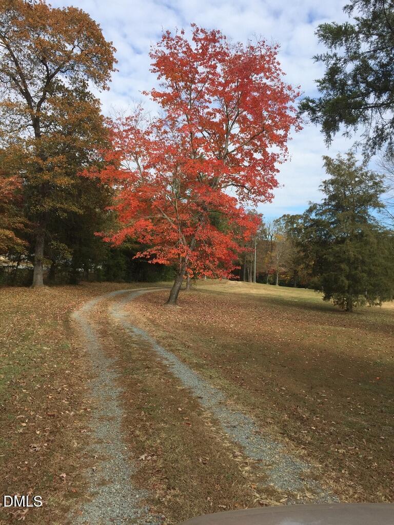 4583 Lambeth Mill Road Bennett, NC 27208 - Photo 41 of 50 Nicole3